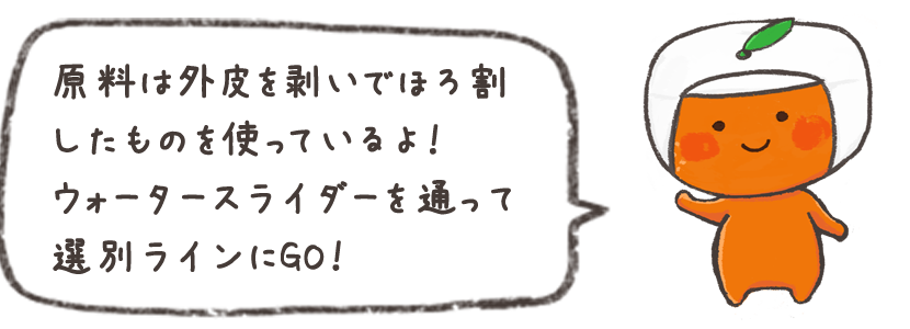 原料は外皮を剥いでほろ割したものを使っているよ！ウォータースライダーを通って選別ラインにGO！