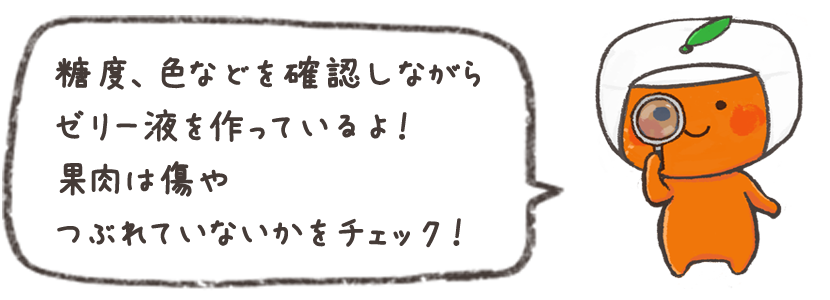 糖度、色などを確認しながらゼリー液を作っているよ！果肉は傷やつぶれていないかをチェック！